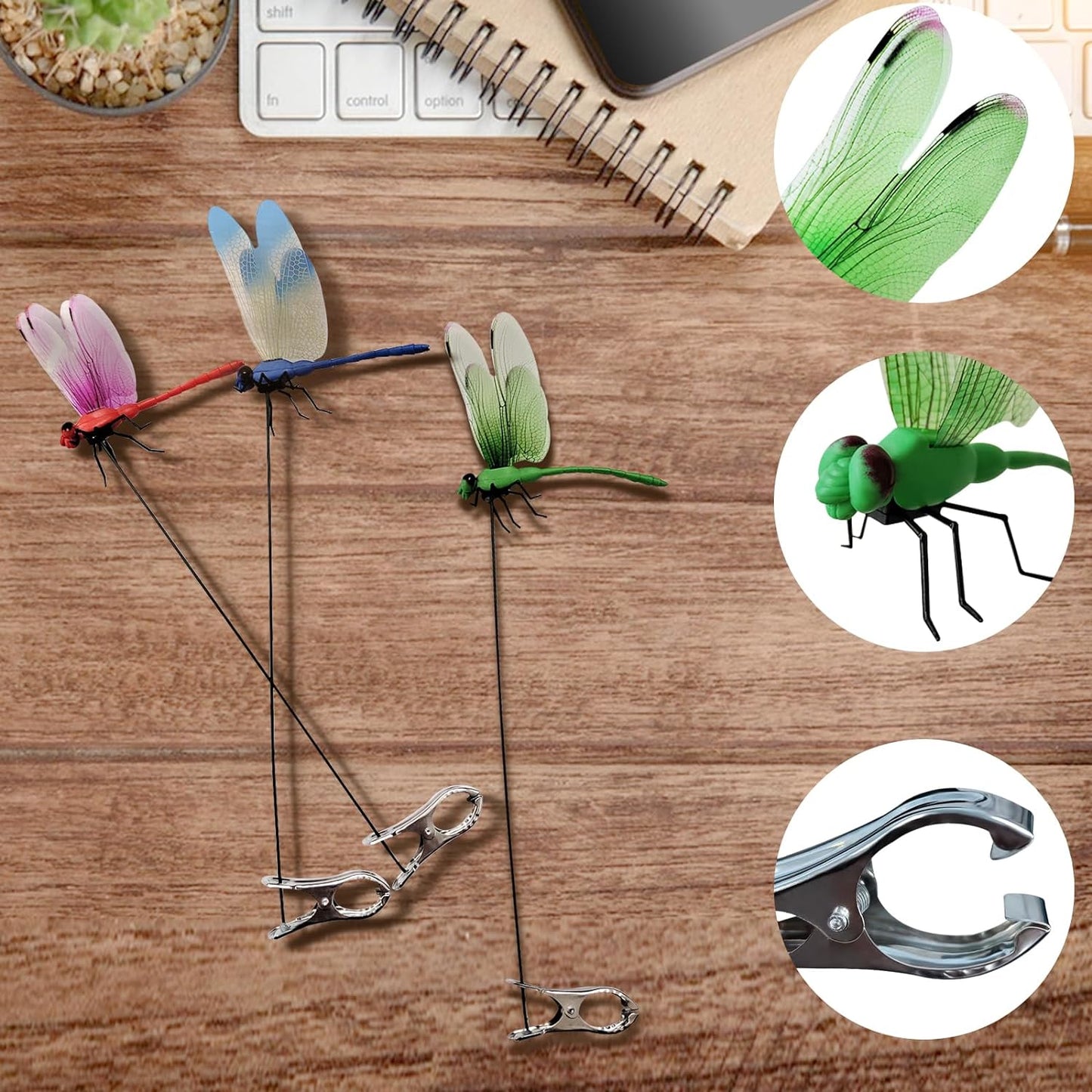 Outdoor Dragonfly Clips